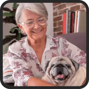 UltraK9Pro Review Beagle